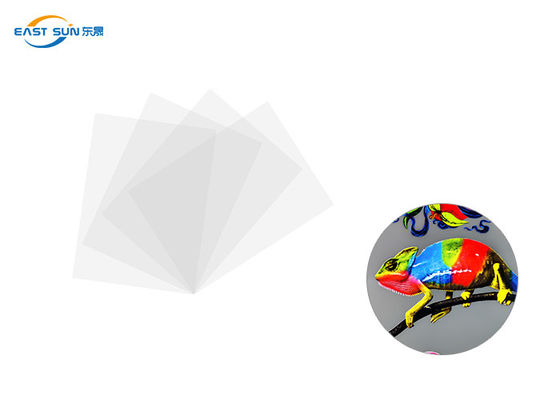 İyi bir fiyat. Konvansiyonel Genişlik 60cm 33cm 30cm DTF Isı Aktar Filmi Beyaz Renk çevrimiçi