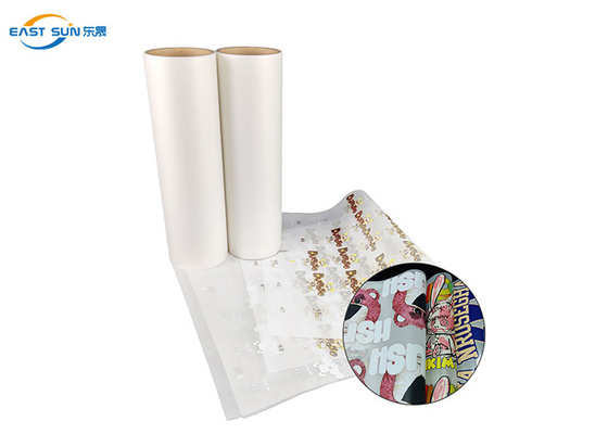 Good price Ucuz Tek / Çift Mat Yan 30CM 60CM Isı Transfer PET Film Easy Peel DTF Baskı Filmi çevrimiçi